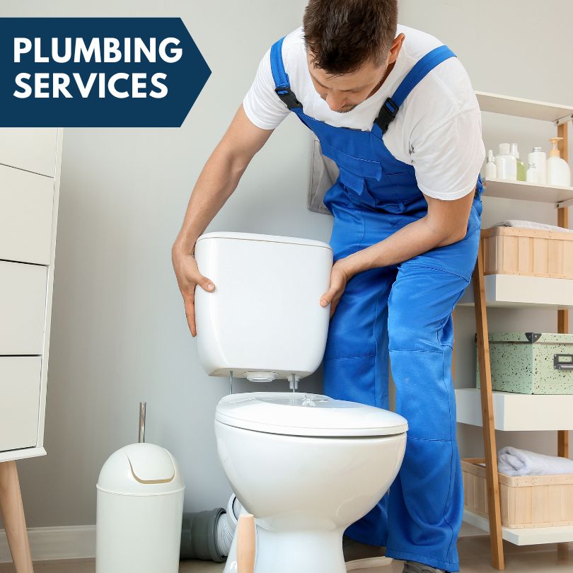 Plumbing Company in West Liberty, IL